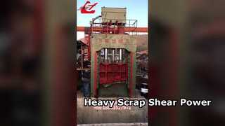 ガントリーシャー